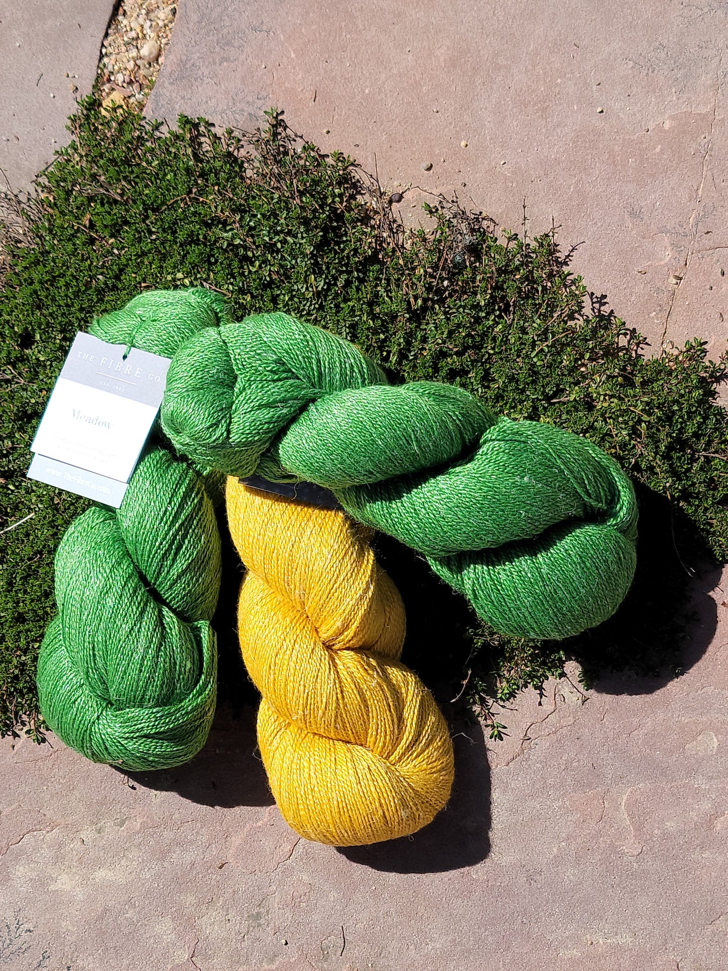 Pagosa Rose Knit Tee Kit