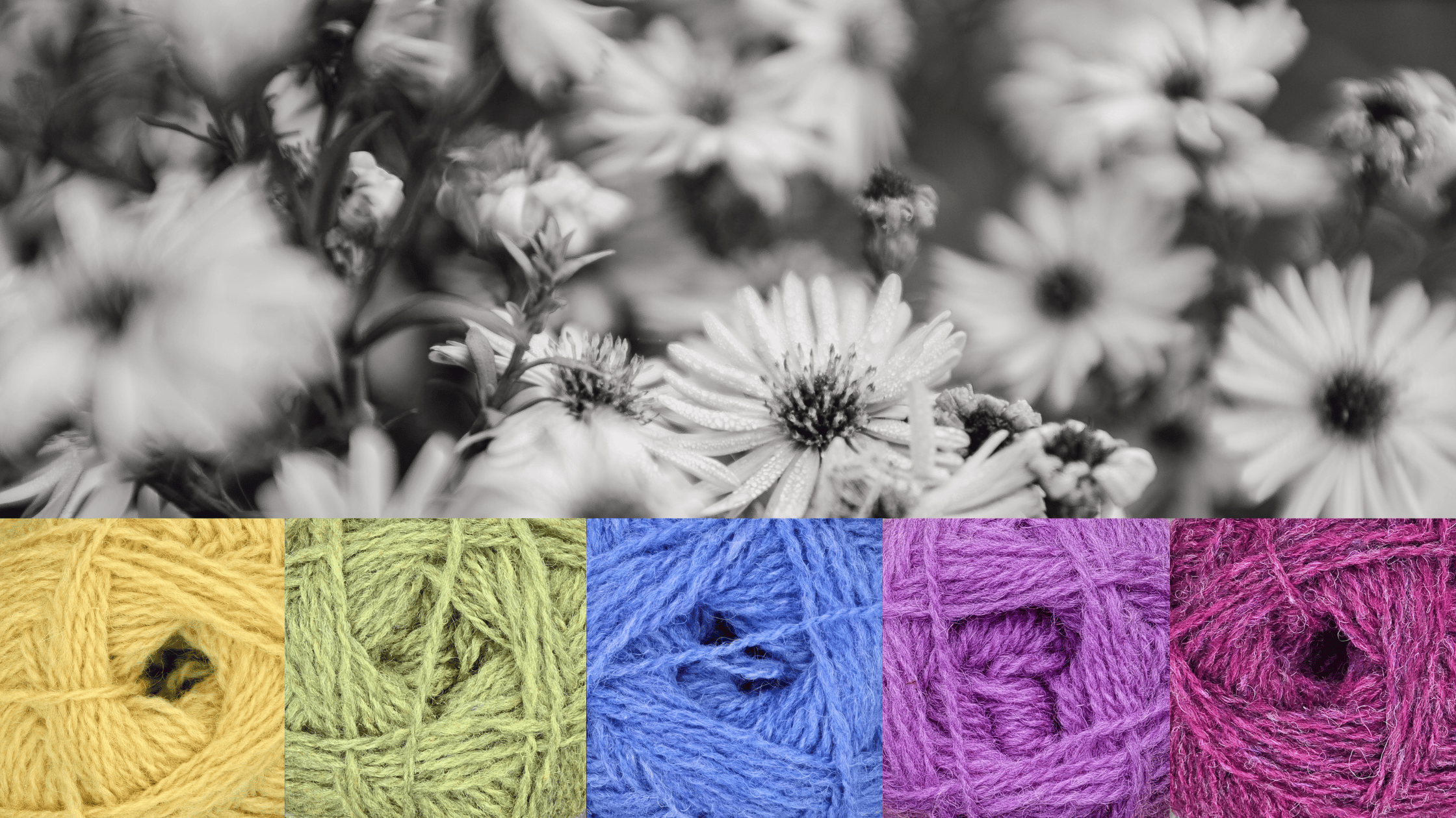 Mastering Value Transitions in Fair Isle Colorwork - Part 1