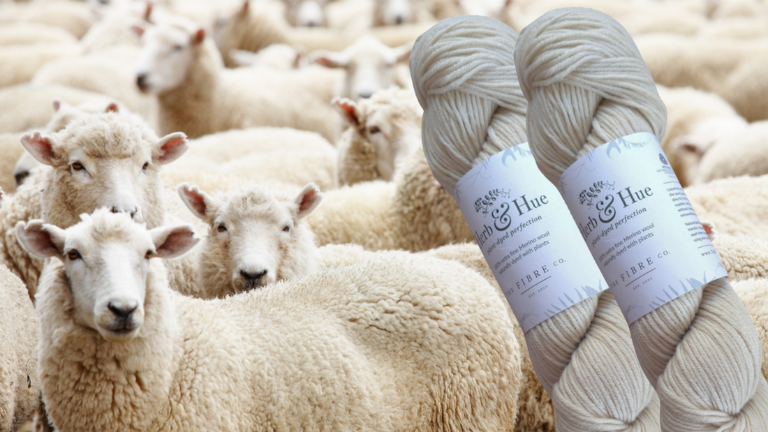 Reflections on the Color White