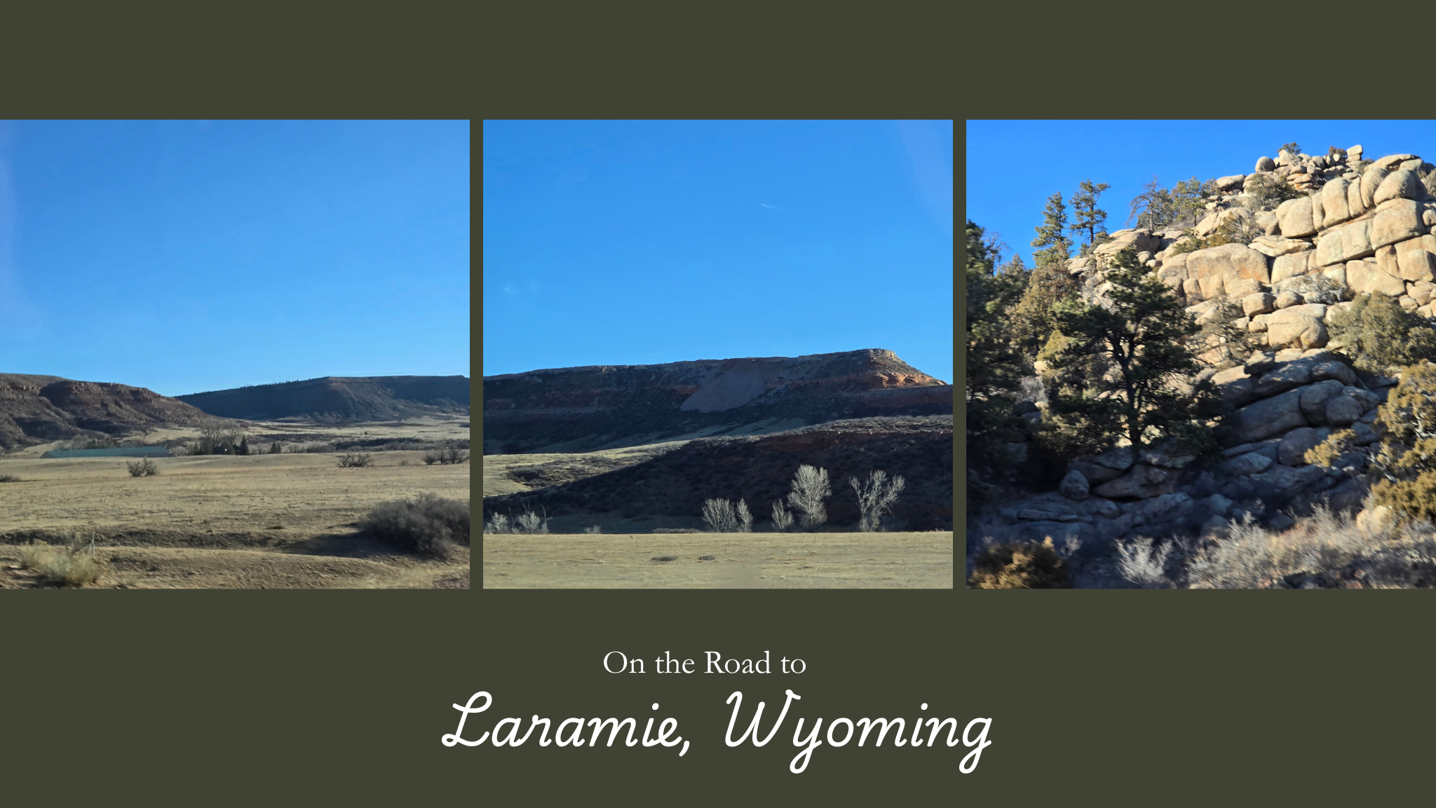 From the Meadow to the Skein: Building a Small-Batch Yarn Line (Part 1)