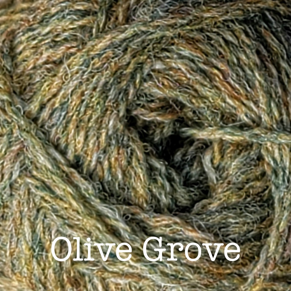 Olive Grove-228