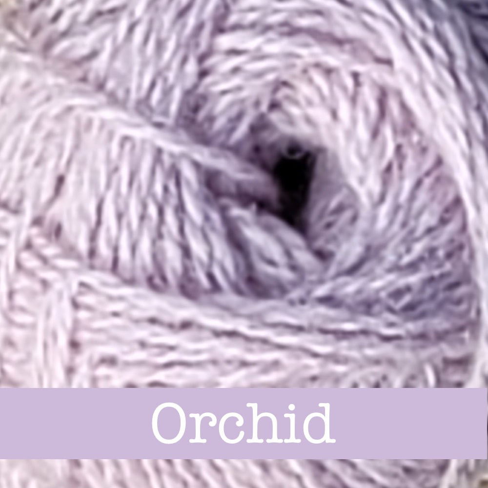 Orchid-547