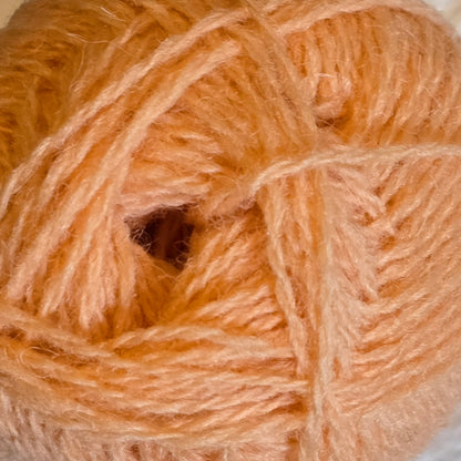 Apricot