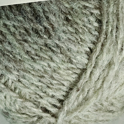 Lichen