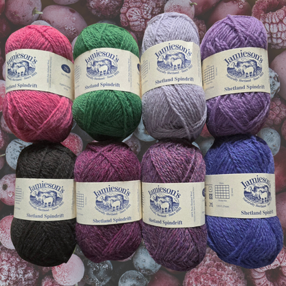 Frosted Berries in Winter