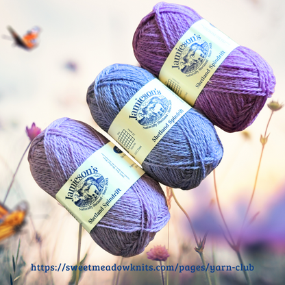 Shetland Yarn Club - the July Box
