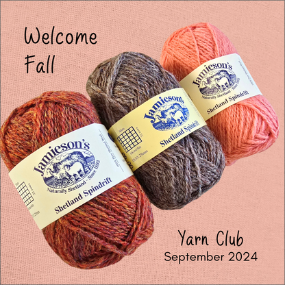 Sweet Meadow Monthly Yarn Club