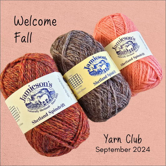 Sweet Meadow Yarn Club September Yarn Bundle